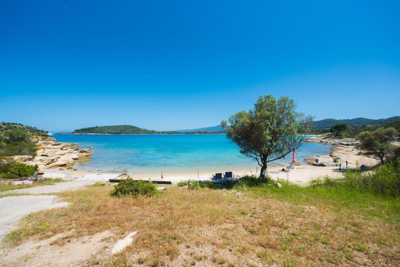 Nereus & Oceanus Beachfront Apartments, Lagonisi #feelslikehome *