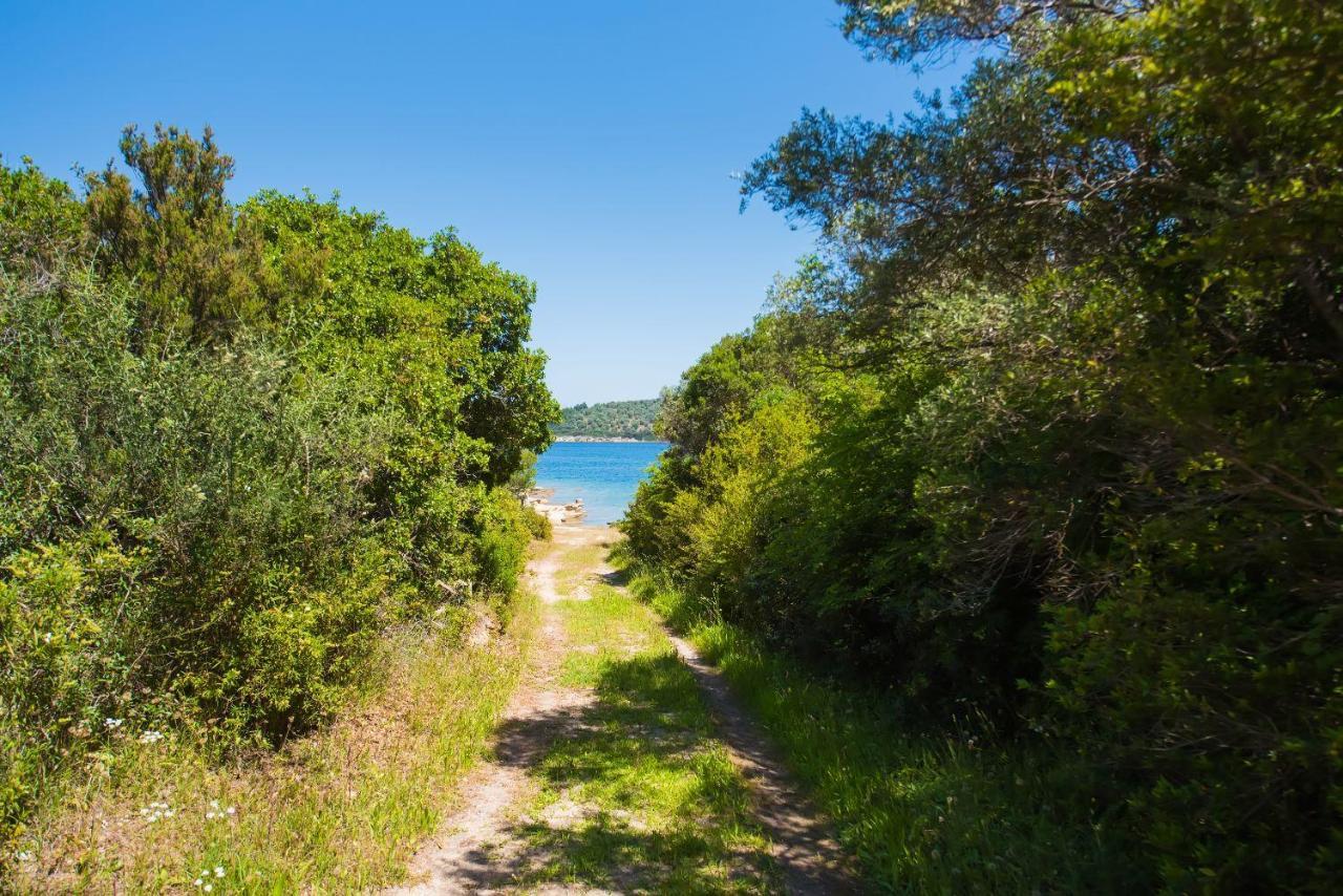 Apartment Nereus & Oceanus Beachfront Apartments, Lagonisi #feelslikehome *